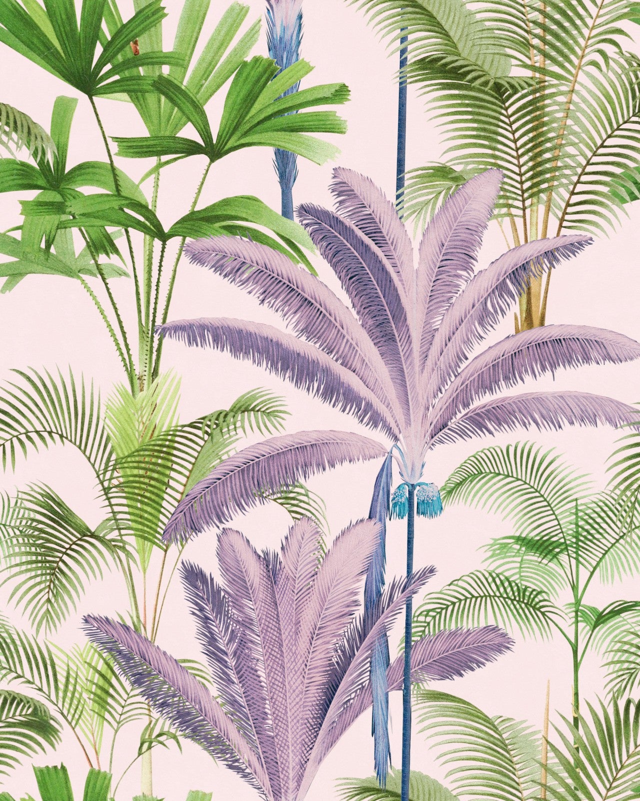 mind the gap - palmeras wallpaper - wp20363