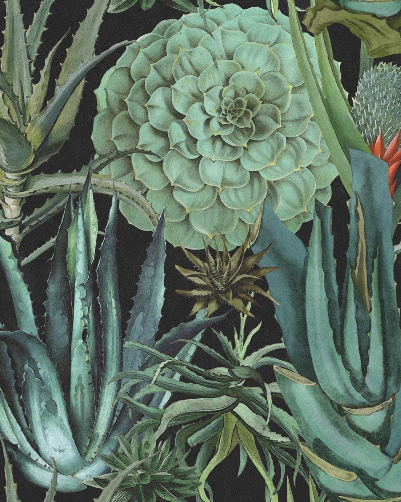 mind the gap - succulentus anthracite wallpaper - wp20167
