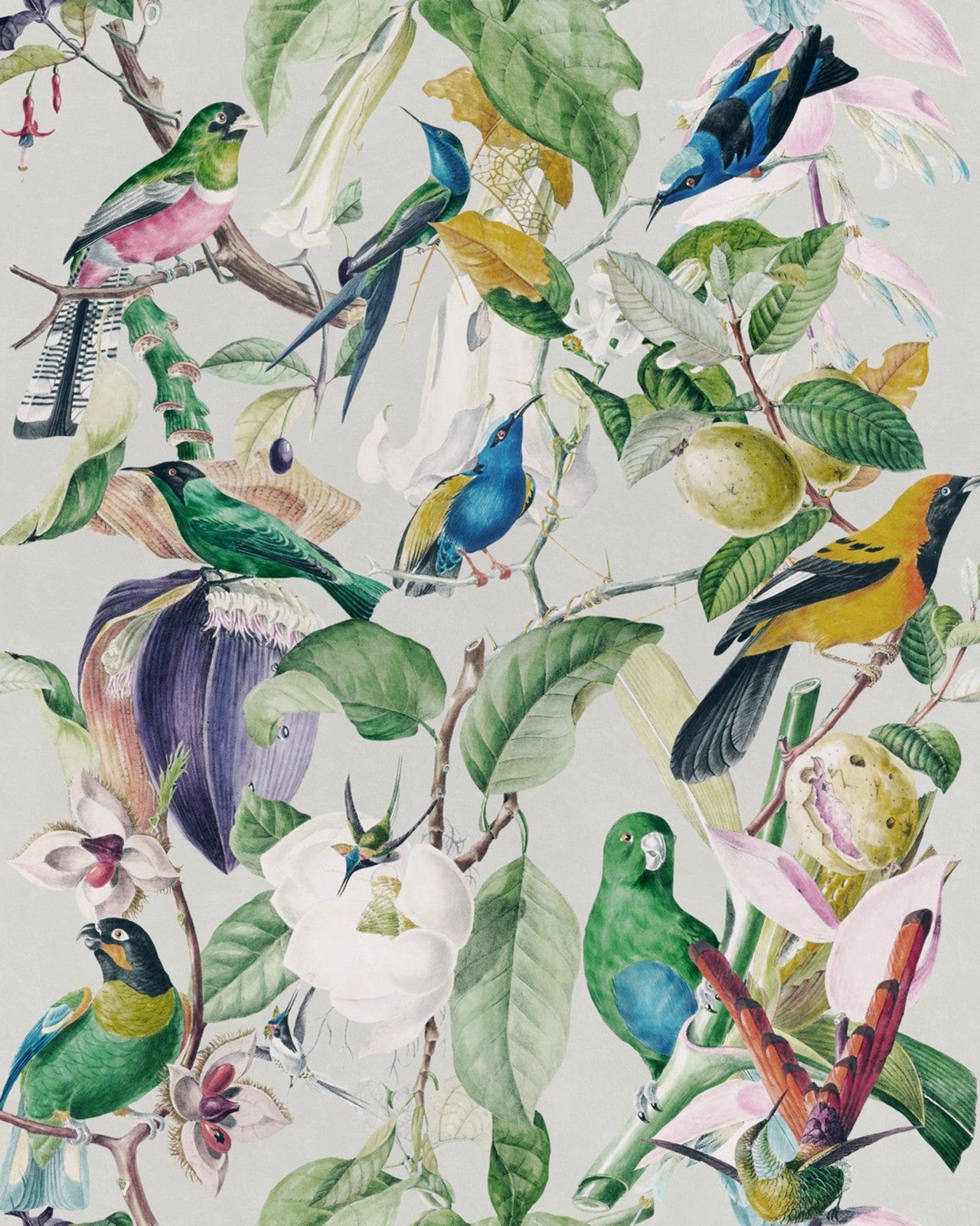 mind the gap - tropical birds wallpaper - wp20172