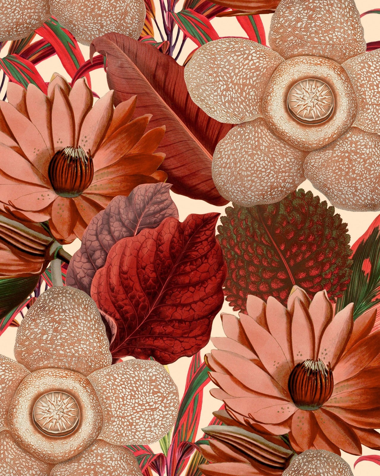 mind the gap - water lilies taupe wallpaper - wp20317