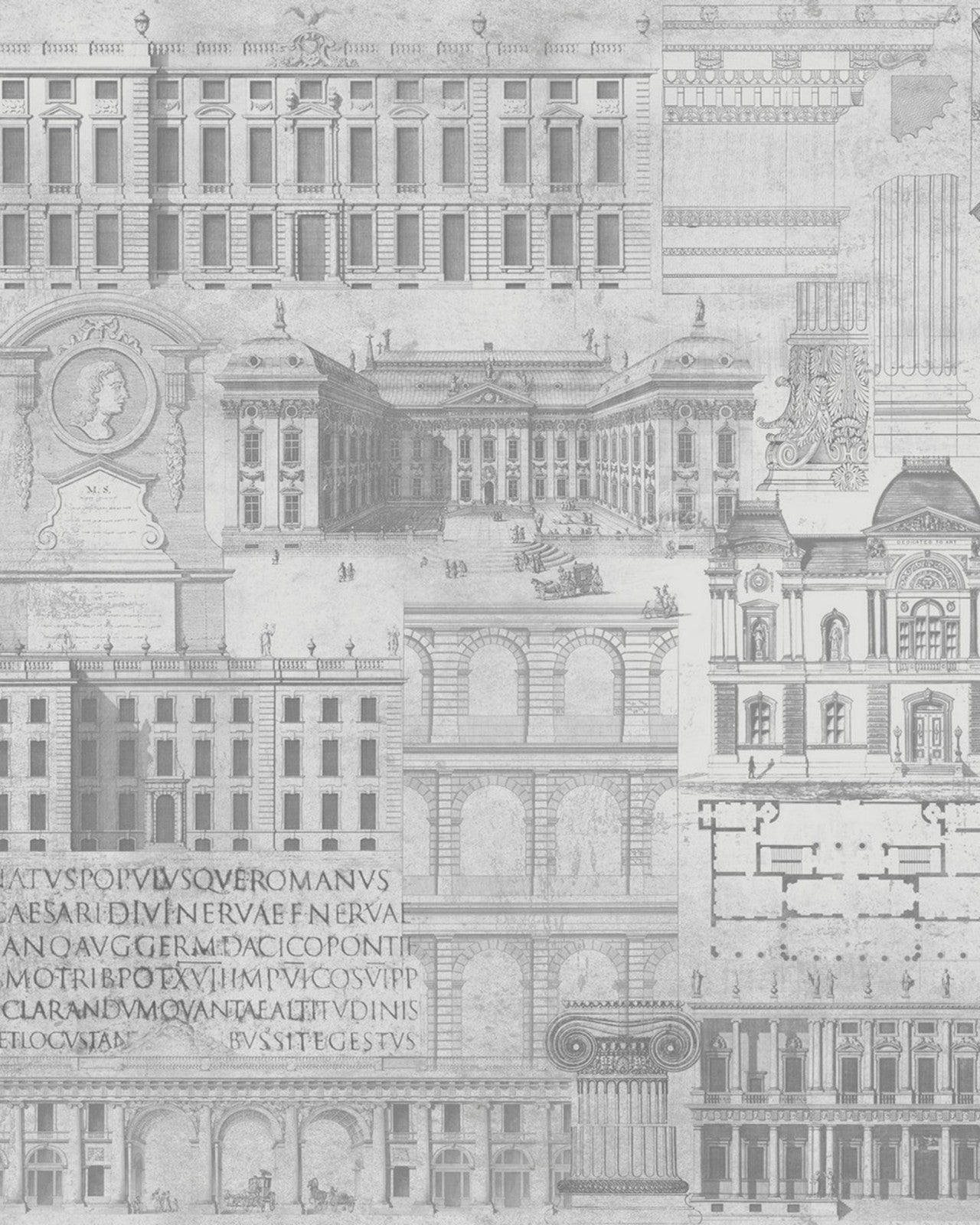 mind the gap - vitruvius neutral premium wallpaper - wp20027