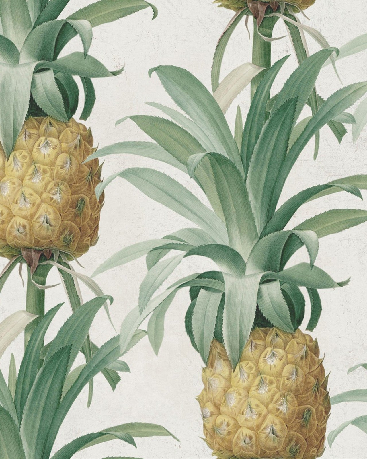 mind the gap - ananas premium wallpaper - wp20090
