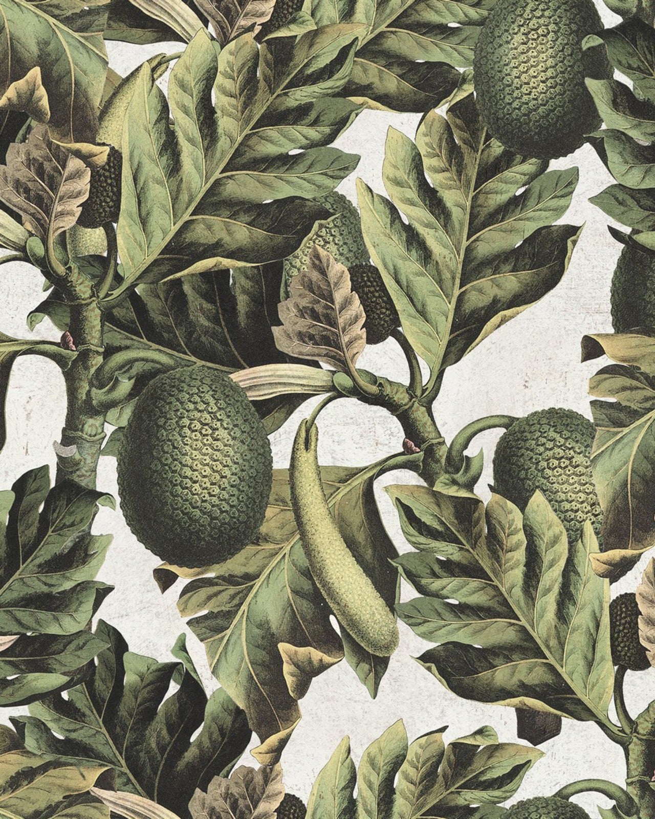 mind the gap - exotic fruit i wallpaper - wp20097