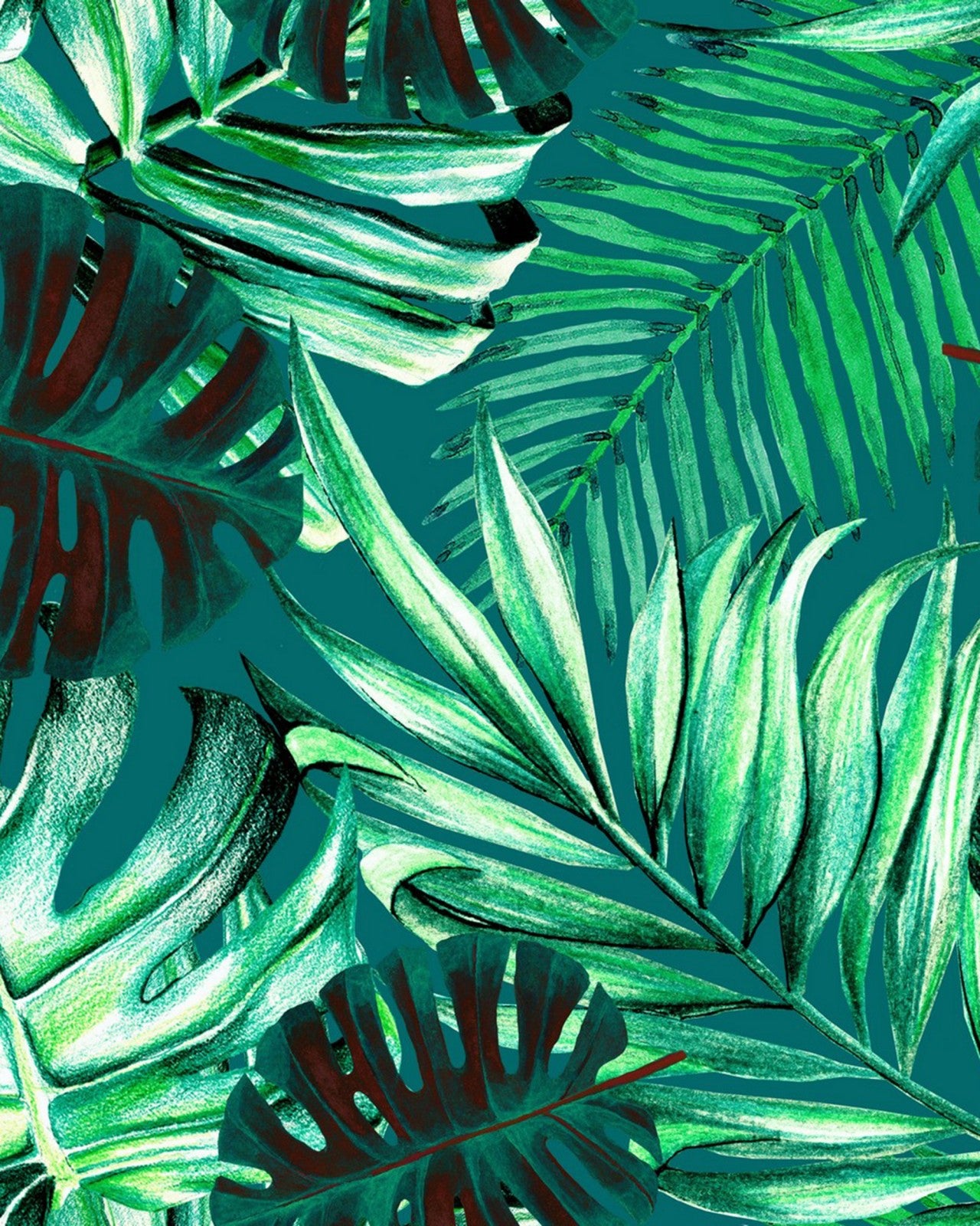 mind the gap - rainforest wallpaper - wp20108