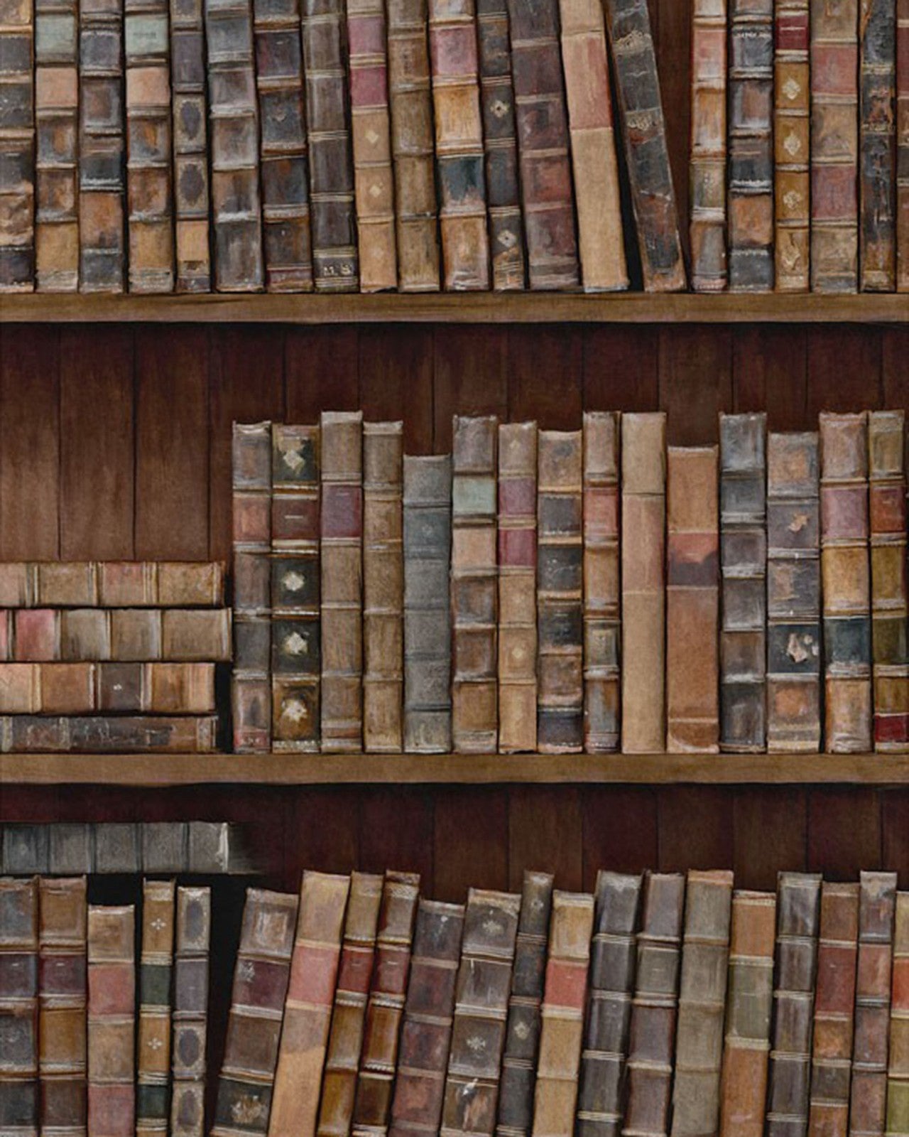 mind the gap - book shelves premium wallpaper - wp20112