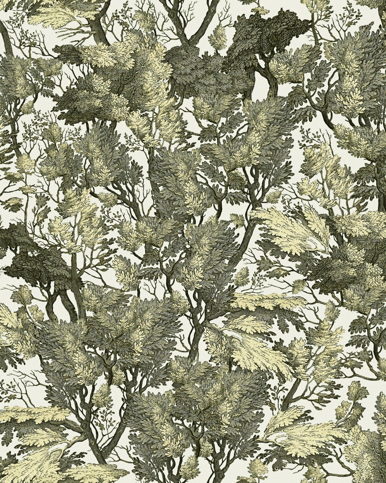 mind the gap - tree foliage wallpaper - wp20481