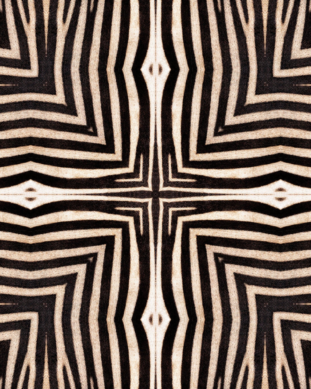 mind the gap - serengeti wallpaper - wp20505