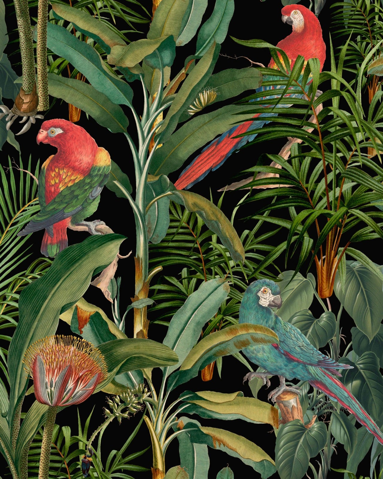 mind the gap - parrots of brasil anthracite wallpaper - wp20522