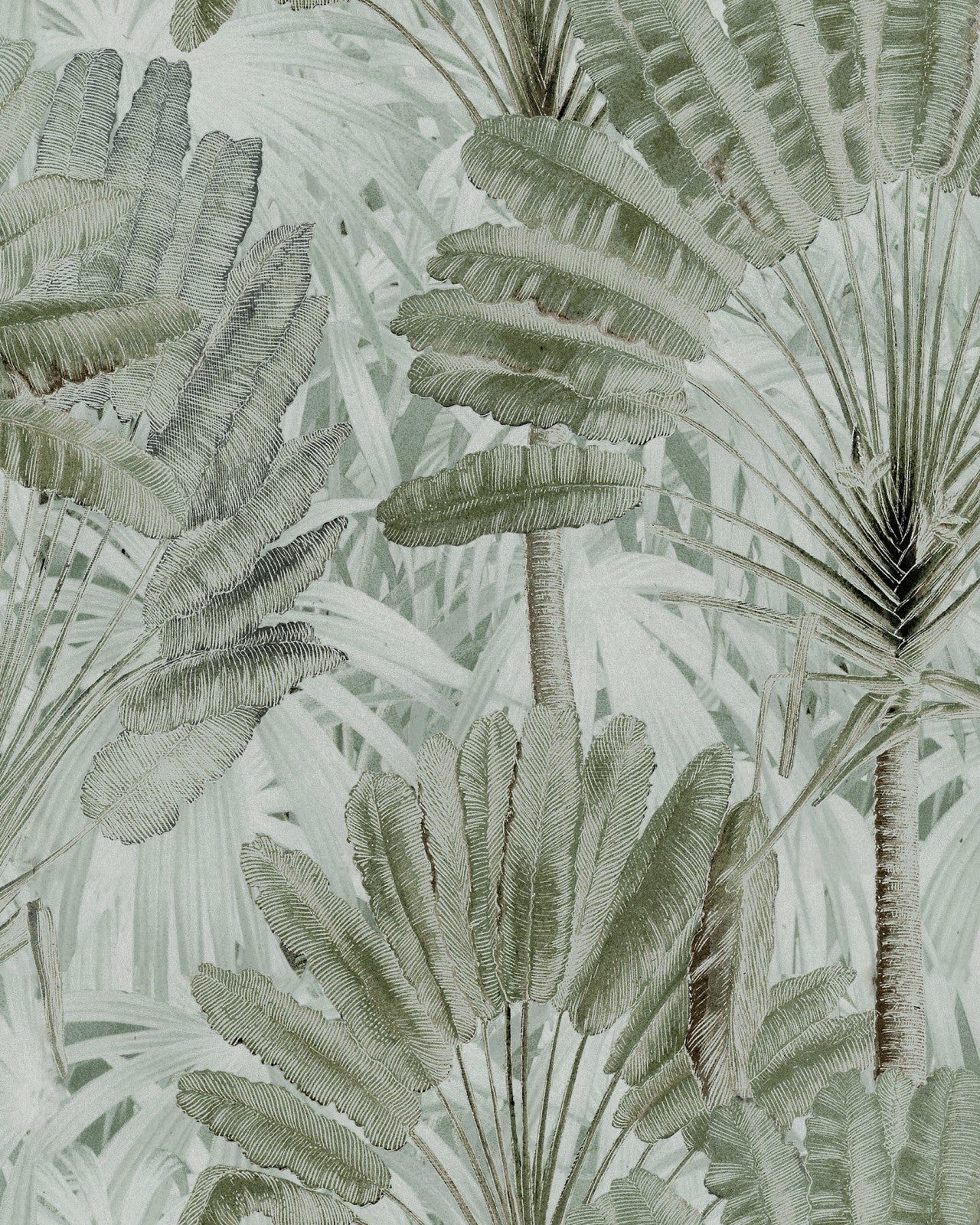 mind the gap - traveller's palm neutral wallpaper - wp20525