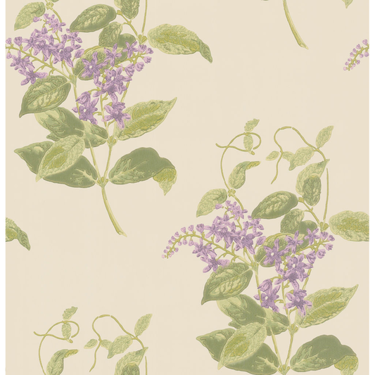 Cole & Son - Madras Violet - Olive & Lavender - 100/12056.CS.0