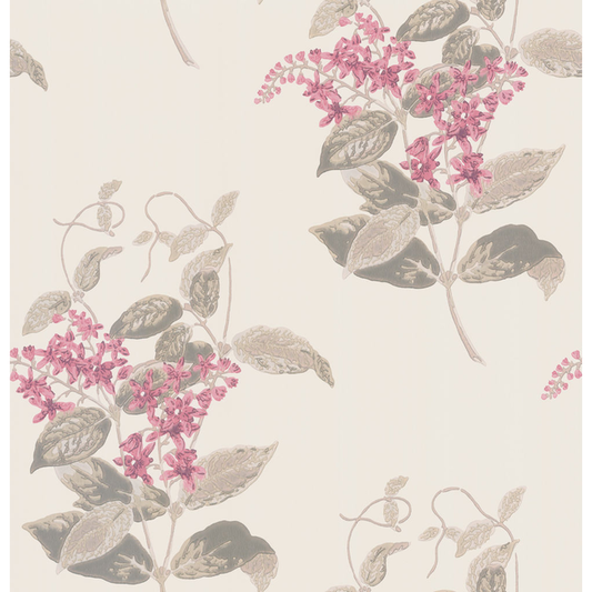 Cole & Son - Madras Violet - Pink - 100/12058.CS.0