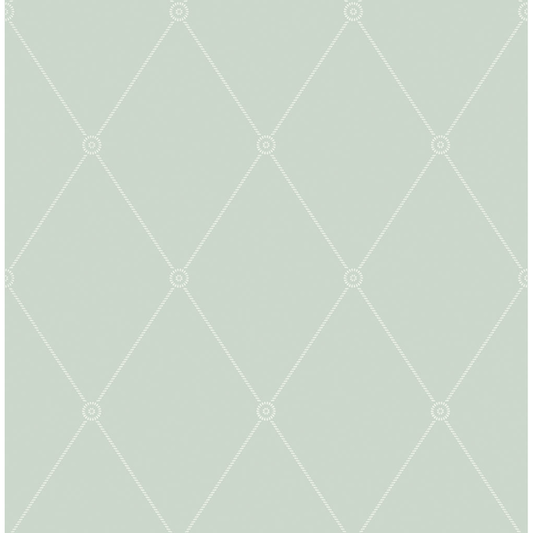 Cole & Son - Large Georgian Rope Trellis - Duck Egg - 100/13066.CS.0