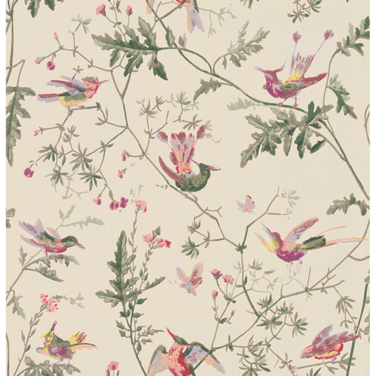 Cole & Son - Hummingbirds - Original Multi-Colour - 100/14071.CS.0
