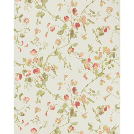 Cole & Son - Sweet Pea - Pink - 100/6028.CS.0