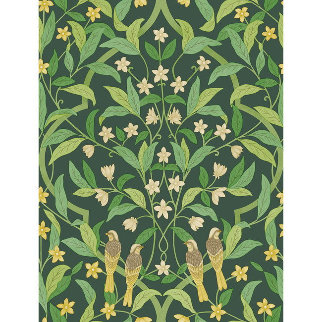 cole & son - jasmine & serin symphony - yellow/grn/forest - 117/10029.cs.0