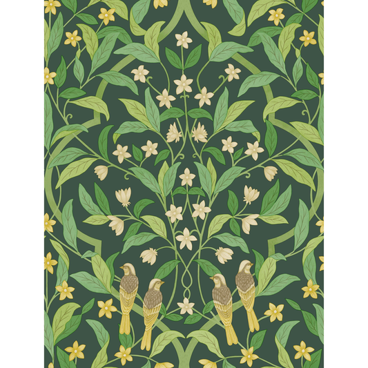 Cole & Son - Jasmine & Serin Symphony - Yellow/Grn/Forest - 117/10029.CS.0