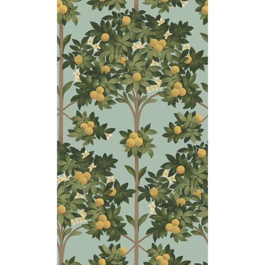 Cole & Son - Orange Blossom - Lemon/Dk Olive Grn/Duck Egg - 117/1002.CS.0
