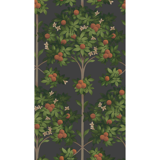 Cole & Son - Orange Blossom - Orange & Spring Green/Black - 117/1003.CS.0