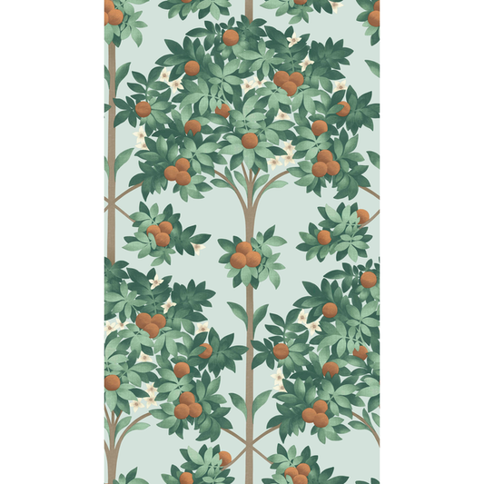 Cole & Son - Orange Blossom - Burnt Orange/Mint/Seafoam - 117/1004.CS.0
