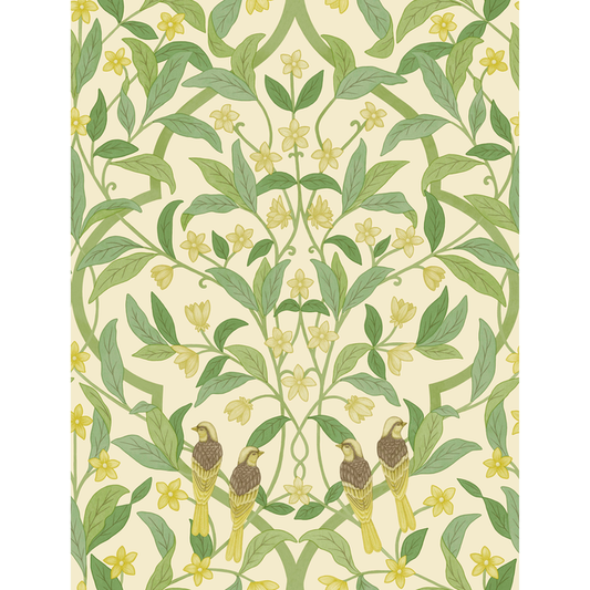 Cole & Son - Jasmine & Serin Symphony - Chartreuse/Grn/Wt - 117/10031.CS.0