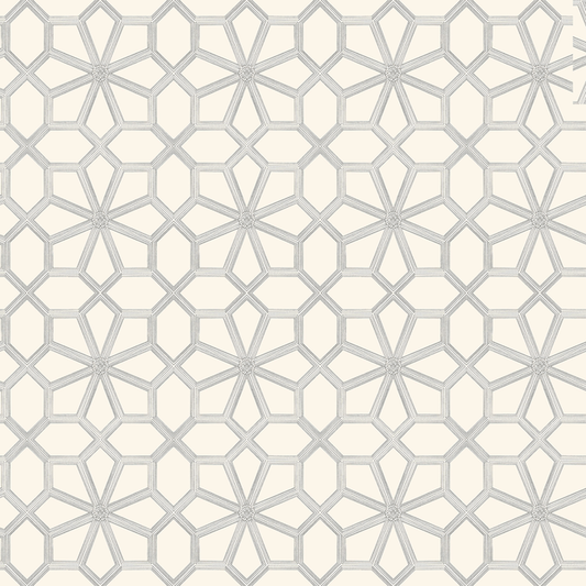 Cole & Son - Wolsey Stars - Soot On Snow - 118/16036.CS.0