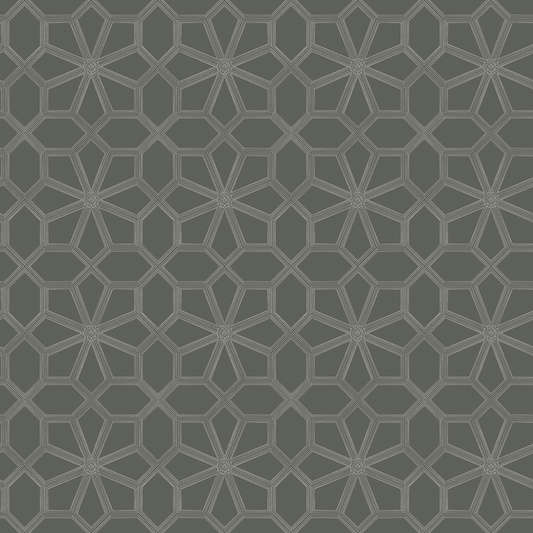 Cole & Son - Wolsey Stars - Chalk/Charcl - 118/16037.CS.0