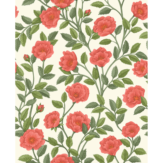 Cole & Son - Hampton Roses - R&Sgrn/Pmnt - 118/7013.CS.0