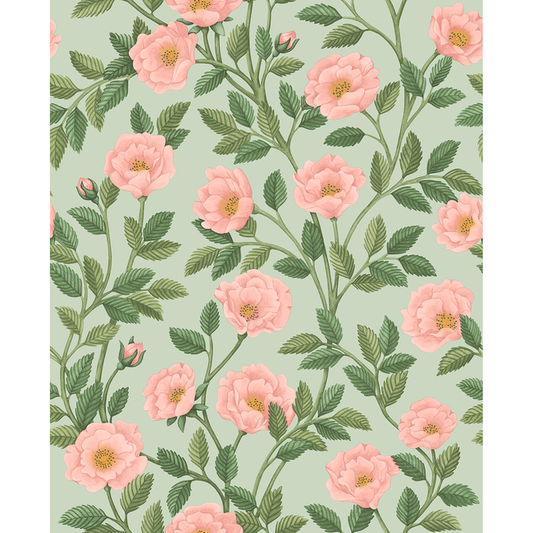 Cole & Son - Hampton Roses - R&Lgrn/Degg - 118/7014.CS.0