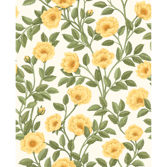 Cole & Son - Hampton Roses - Mrg&Ogrn/Wh - 118/7015.CS.0