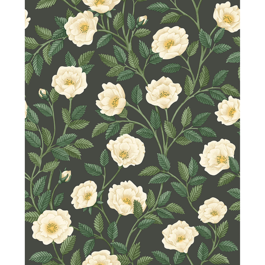Cole & Son - Hampton Roses - Crm&Fgrn/Ch - 118/7016.CS.0
