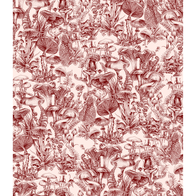 Cole & Son - Fungi Forest - Burgundy - 122/1001.CS.0
