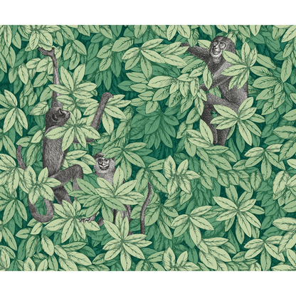 Cole & Son - Foglie E Scimmie - Green - 123/10049.CS.0