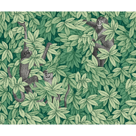 Cole & Son - Foglie E Scimmie - Green - 123/10049.CS.0