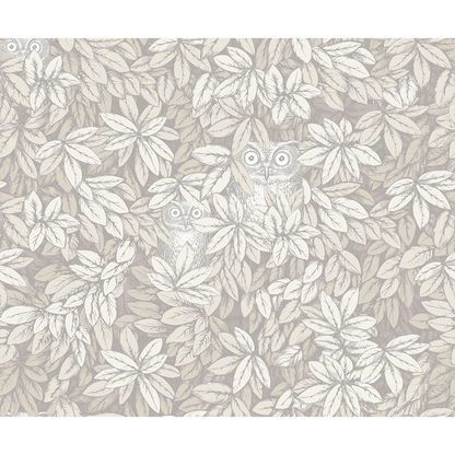 Cole & Son - Foglie E Civette - White - 123/11052.CS.0