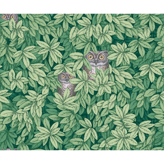 Cole & Son - Foglie E Civette - Green - 123/11054.CS.0