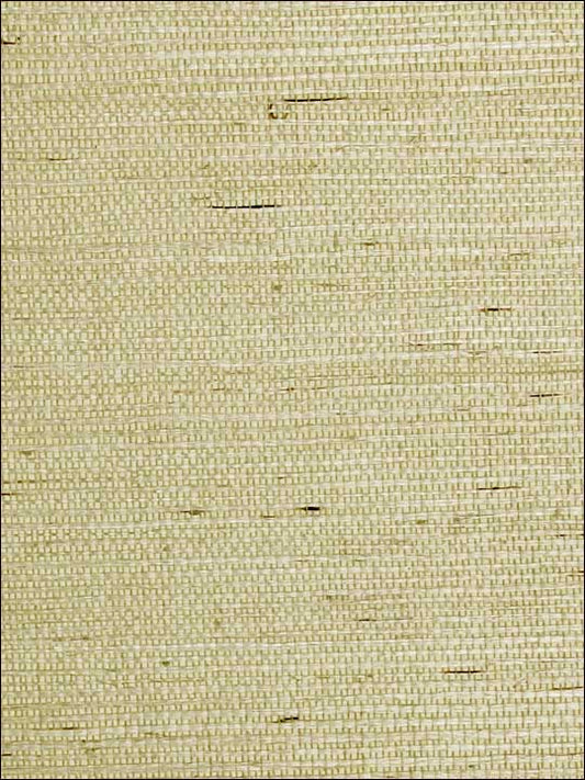 Scalamandre SC0003G1193 Sisal Wheat Wallpaper