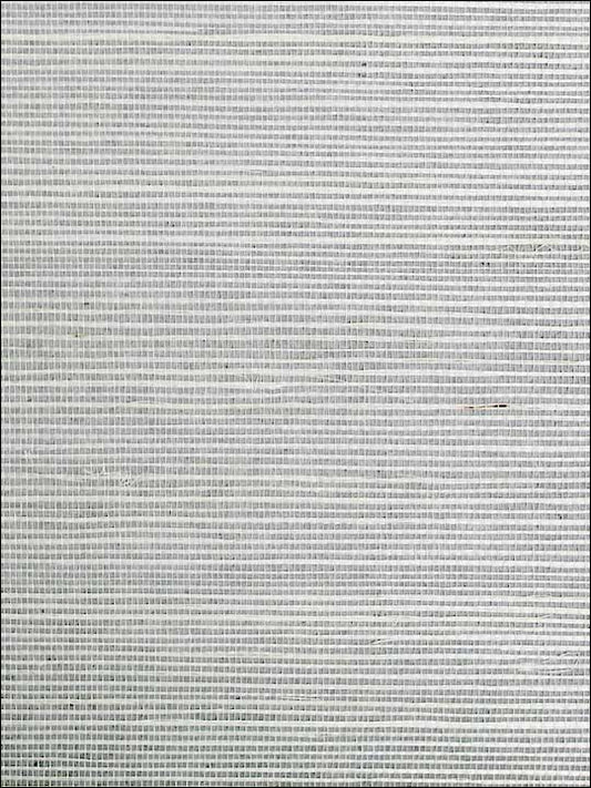 Scalamandre SC0009G1193 Sisal Pewter Wallpaper