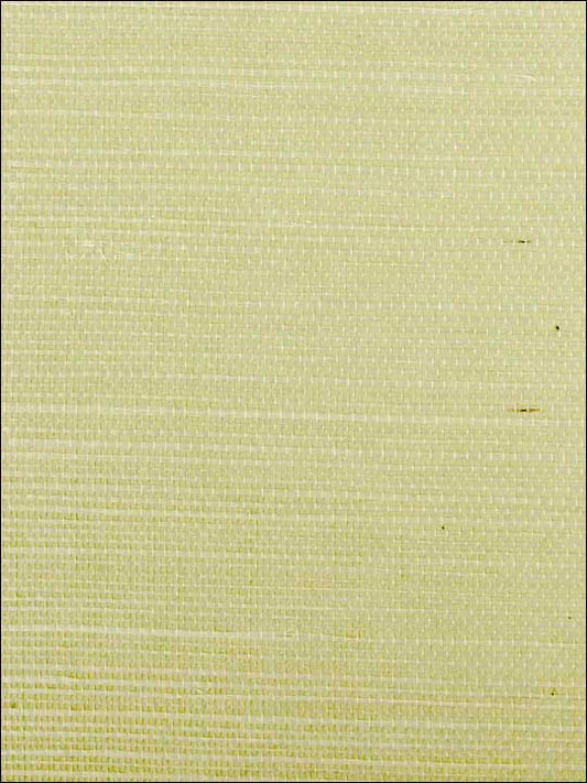 Scalamandre SC0017G1193 Sisal Spring Wallpaper