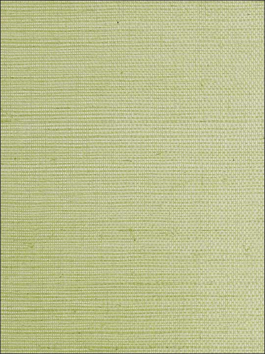 Scalamandre SC0018G1193 Sisal Leaf Wallpaper
