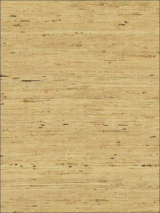 Scalamandre SC0003WP88344 Arrowroot Weave Honey Wallpaper