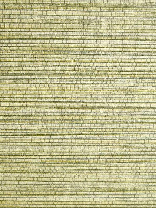 Scalamandre SC0004WP88441 Willow Weave Grass Wallpaper