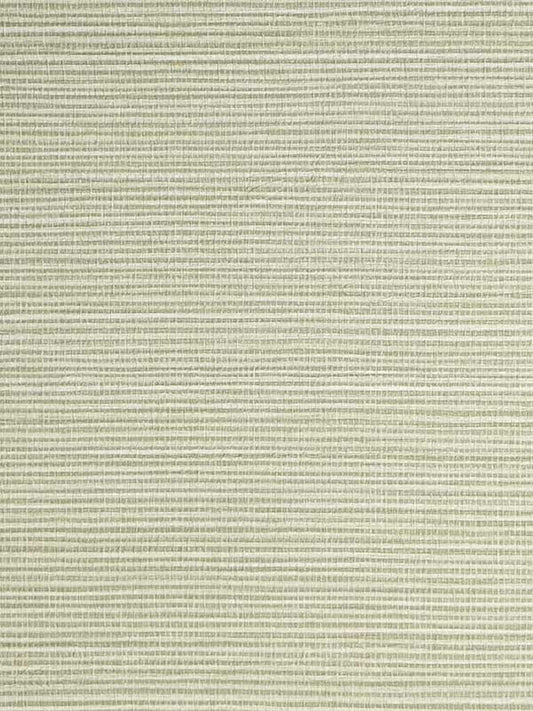 Scalamandre SC0054WP88442 Savanna Seedling Seagrass Wallpaper