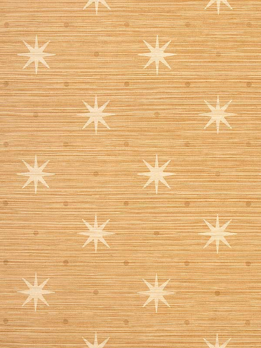 Scalamandre WHN000144002 Big Trixie Rattan Wallpaper