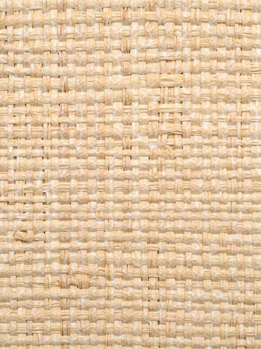 Scalamandre WHN00WBY0390 Hinson Madagascar Coarse Whitewashed Wallpaper