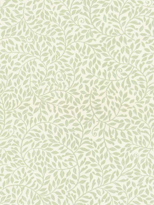 Scalamandre WSB00180425 Sigfrid Green Wallpaper