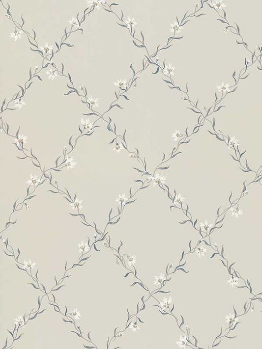 Scalamandre WSB00210806 Ewa Grey Wallpaper