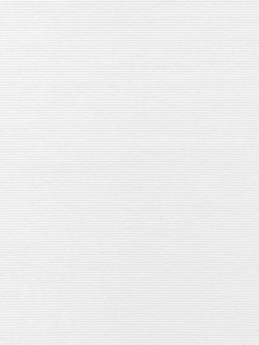 Scalamandre WTT661452 Ventura Ice Wallpaper