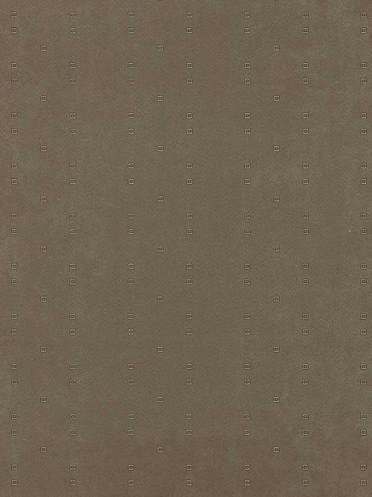 Scalamandre WTT661614 Graphic Spirit Smoke Wallpaper