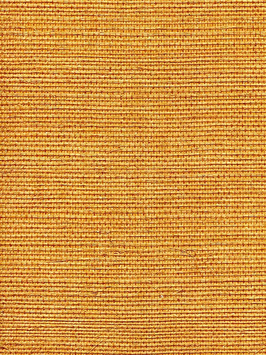 Scalamandre WTWGT3901 Organic Sisal Tuscan Wallpaper