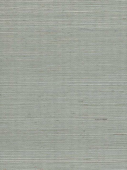 Scalamandre WTWGT3925 Organic Sisal Spa Wallpaper